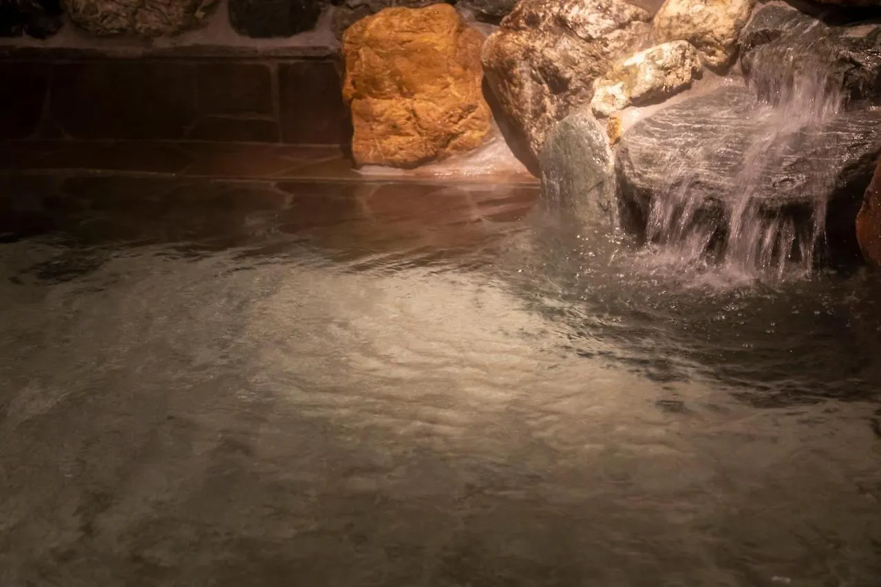 Hotel Dormy Inn Kawasaki Natural Hot Spring